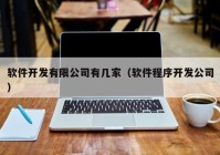 软件开发有限公司有几家（软件程序开发公司）