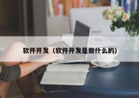 软件开发（软件开发是做什么的）