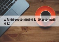 山东抖音seo优化搜索排名（抖音优化公司排名）