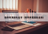 软件开发团队名字（软件开发团队名称）